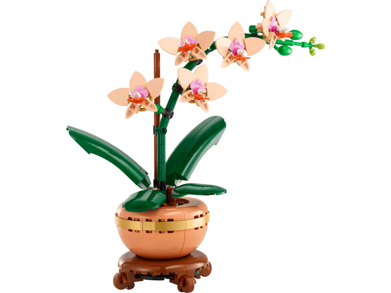 LEGO Botanicals Miniorchidee 10343